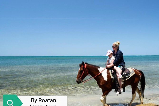 Roatan VIP Free-Style Private Tour - Final Thoughts: Is This Tour the Right Choice for You?