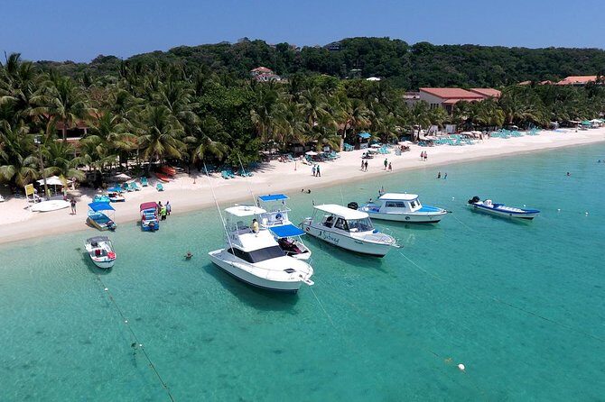 Roatan VIP Free-Style Private Tour - What to Expect from the Transport & Timing