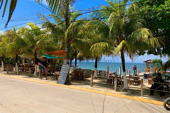 Roatan VIP Shore Excursion Island Tour and Beach - Key Points