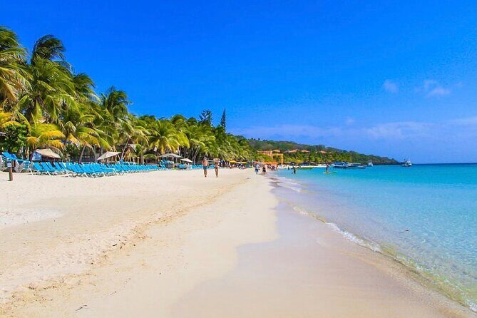 Roatán West Bay Beach Club with Private Driver - The Itinerary Breakdown: What to Expect