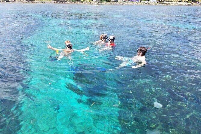 Roatan Wildlife Sanctuary, Chocolate ,Rum Tasting & Snorkel Combo - Key Points