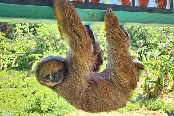 Roatan Wildlife Sanctuary, Chocolate ,Rum Tasting & Snorkel Combo - Frequently Asked Questions