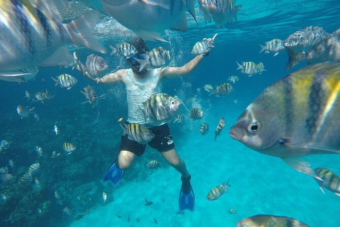 ROATAN: Zipline-Sloths-Snorkeling-City Tour Chocolate & Rum - Final Scenic Stops & Photo Opportunities