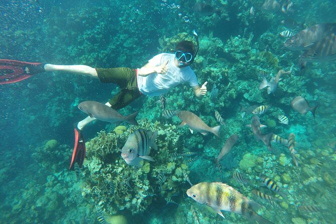 ROATAN: Zipline-Sloths-Snorkeling-City Tour Chocolate & Rum - Practical Details & Tips