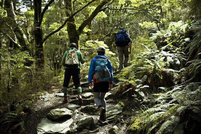 Rob Roy Glacier Guided Walk - Practical Details and What to Expect