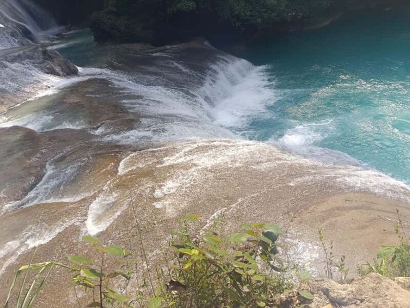 Roberto Barrios Waterfalls from Palenque - Why This Tour Offers Real Value