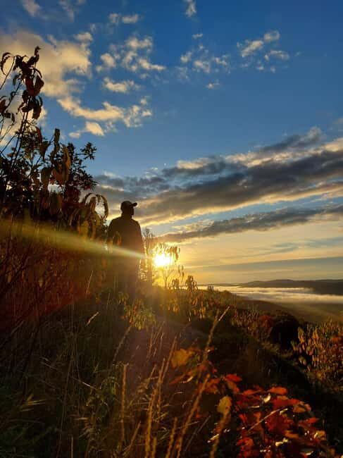 Robertson Cliffs: Where Falcons Fly Guided Hike - An In-Depth Look at the Robertson Cliffs Guided Hike