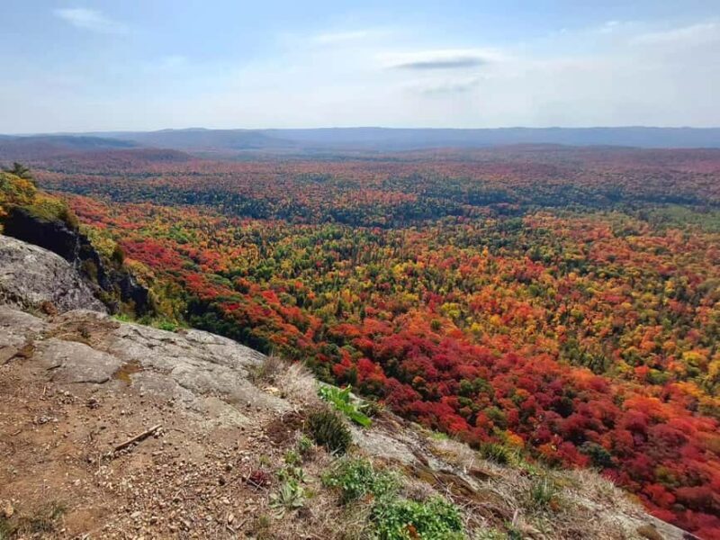 Robertson Cliffs: Where Falcons Fly Guided Hike - The Sum Up