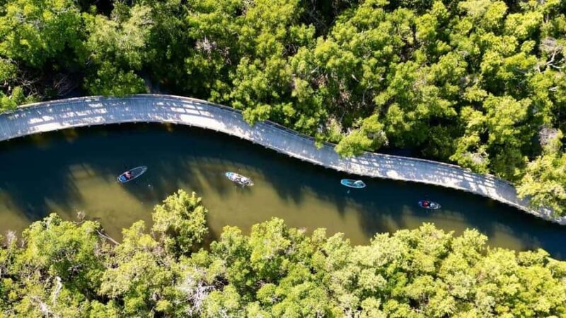 Robinson Preserve: Clear Kayak Ecotour - Key Points