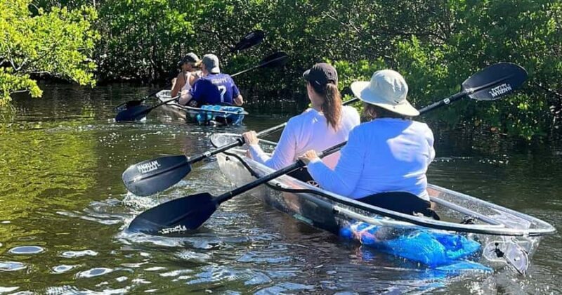 Robinson Preserve: Clear Kayak Ecotour - FAQ