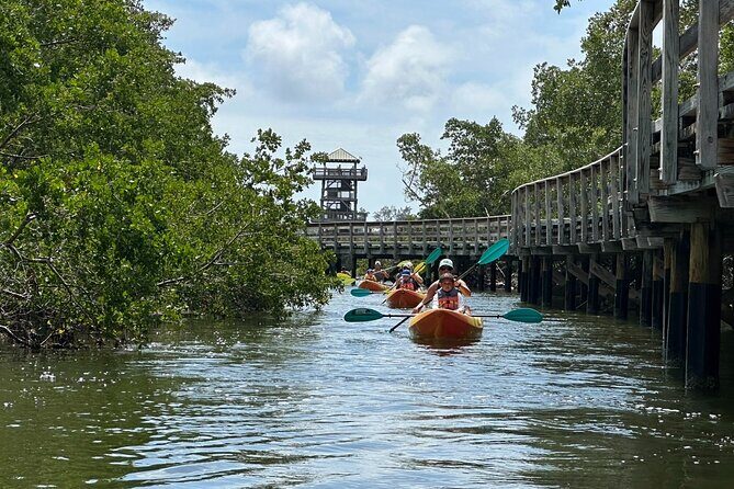 Robinson Preserve Mangrove Tour - Key Points