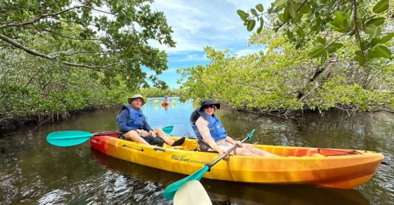 Robinson Preserve Mangrove Tour - A Detailed Look at the Robinson Preserve Mangrove Tour