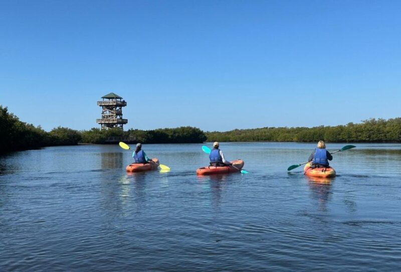 Robinson Preserve Mangrove Tour - FAQ