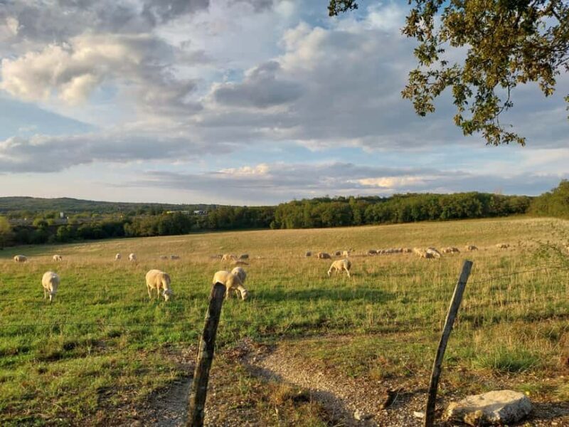 Rocamadour: Tour with an official tour guide - FAQ