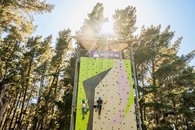 Rock Climb, Zipline and Mega Swing Experience - Exploring the Experience in Detail