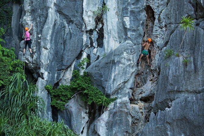 Rock Climbing Tour at Moody Beach - Discovering Cat Ba’s Cliffs: An In-Depth Look