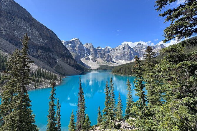 Rockies Day Trip Moraine Lake Lake Louise Peyto Lake and Banff - A Closer Look at the Rockies Day Trip