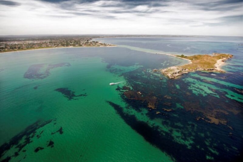 Rockingham: Shoalwater Islands Tour and Penguin Island - A Detailed Look at the Experience