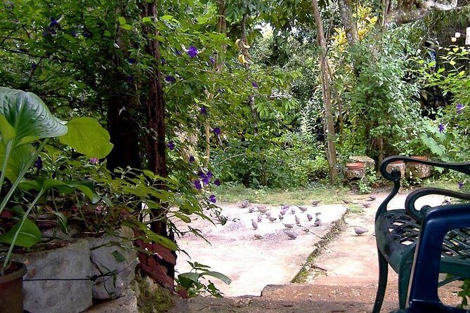 Rockland Bird Sanctuary Private Tour - A Deep Dive into the Rocklands Bird Sanctuary Tour