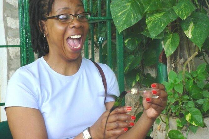 Rocklands Bird Sanctuary and Montego Bay Highlights Tour from Falmouth - FAQ