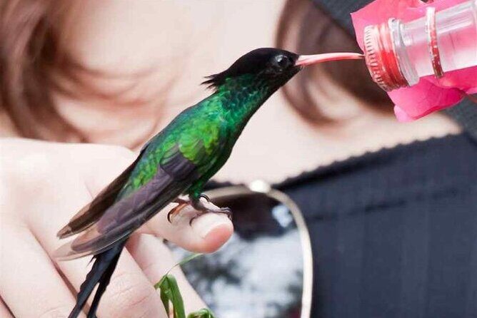 Rocklands Bird Sanctuary & City Highlights plus Shopping from Grand Palladium - Final Thoughts