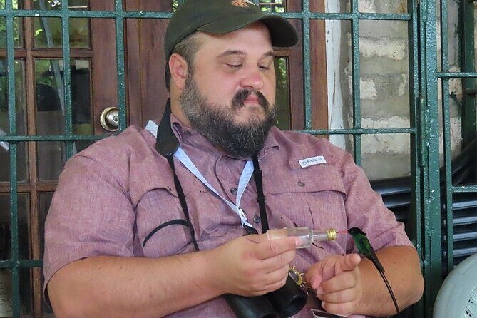 Rockland's Bird Sanctuary Tour from Montego Bay/ Falmouth - Key Points