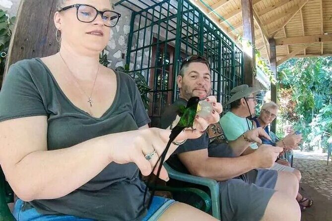 Rockland's Bird Sanctuary Tour from Montego Bay/ Falmouth - Who Should Consider This Tour?