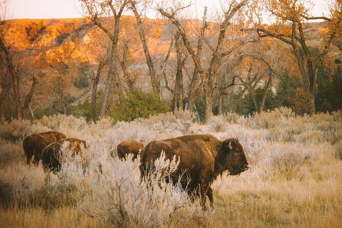 Rocky Mountain Escape - Who Is This Tour Best For?