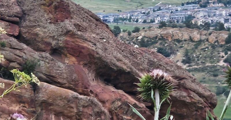 Rocky Mountain HIGH: Cannabis Mountain Tour - Final Thoughts: Is It Right for You?
