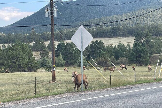 Rocky Mountain National Park Car Tour from Estes Park - Exploring the Rocky Mountain National Park Car Tour in Detail