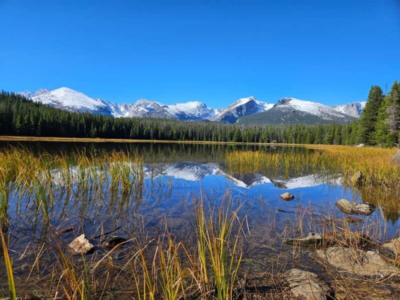 Rocky Mountain National Park: Half-Day Guided Hike - A Closer Look at the Half-Day Rocky Mountain Hike