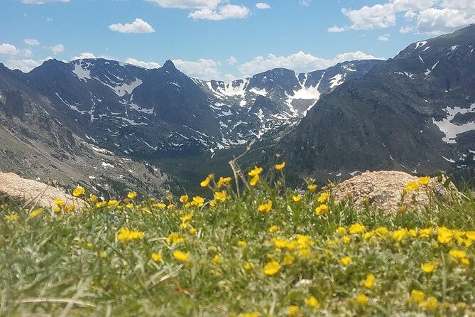 Rocky Mountain National Park in Summer Tour from Denver - Rocky Mountain National Park in Summer Tour from Denver: A Deep Dive into Colorado’s Crown Jewel