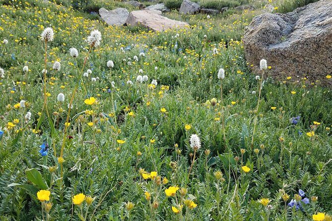 Rocky Mountain National Park in Summer Tour from Denver - FAQ