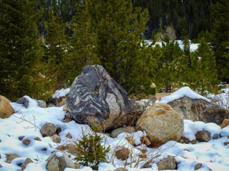 Rocky Mountain National Park: Private Geology Tour - Practicalities and Considerations