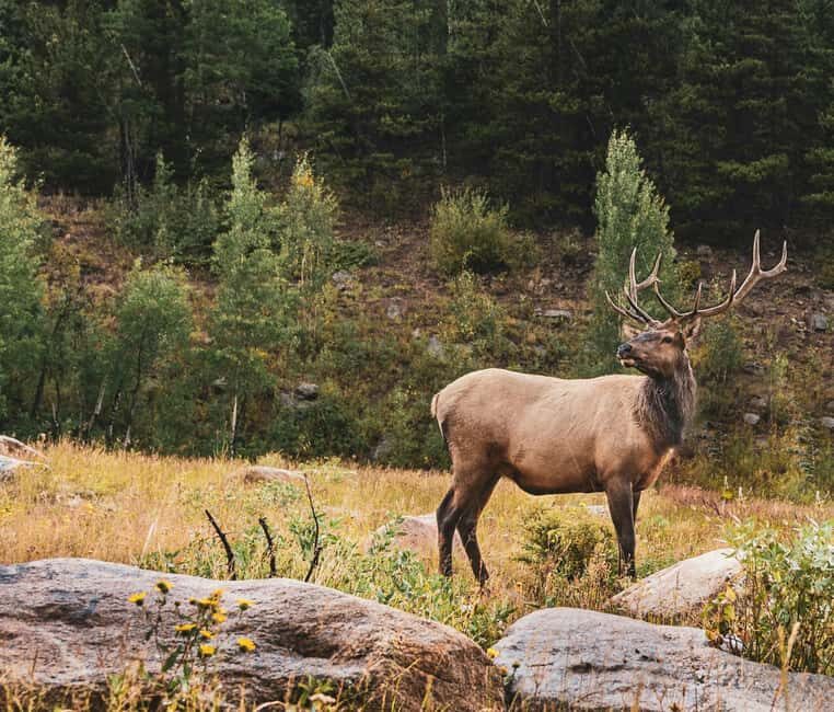Rocky Mountain National Park: Private Hike to Emerald Lake - FAQ
