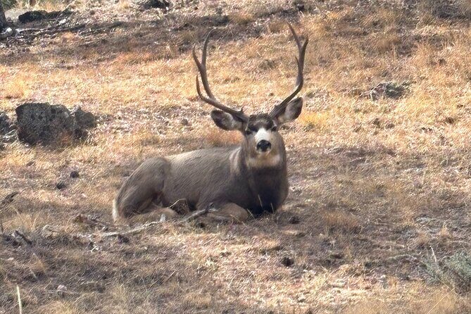Rocky Mountain National Park Private Tour - Key Points
