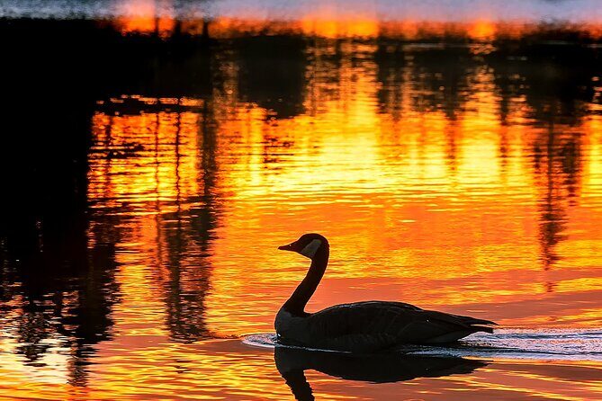 Rocky Mountain National Park Sunrise Hiking Tour - Rocky Mountain National Park Sunrise Hiking Tour: An Early Birds Dream