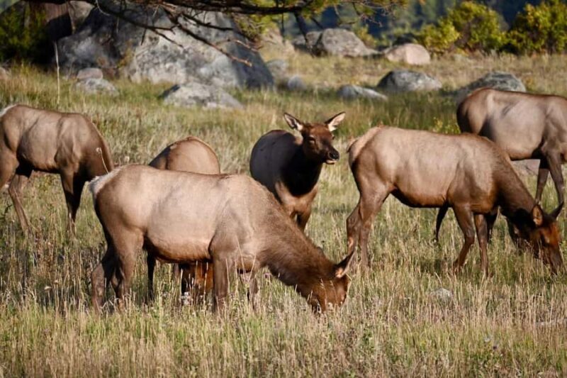 Rocky Mountain National Park: The Bear Lake Corridor - Key Points