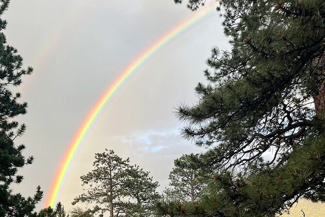 Rocky Mountain National Park The Best of Rocky Tour - Exploring the Rocky Mountain National Park Best of Rocky Tour in Detail