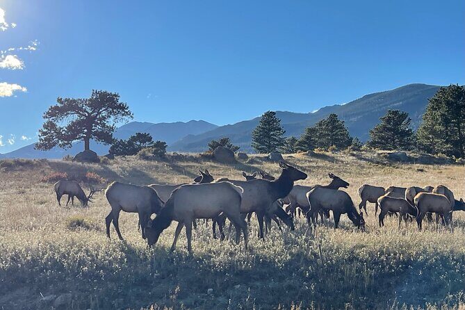 Rocky Mountain Reflections: The Bear Lake Corridor - Authentic Traveler Feedback