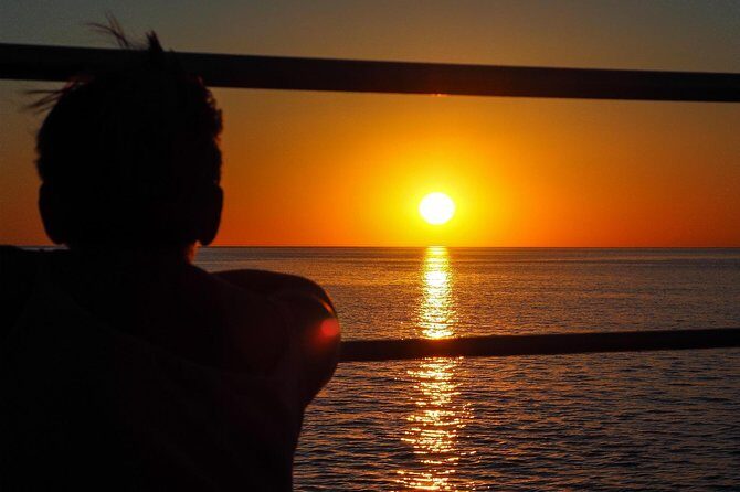 Roebuck Bay Sunset & Snubfin Dolphin Cruise - Discover Broome’s Coastal Wildlife on the Roebuck Bay Sunset & Snubfin Dolphin Cruise