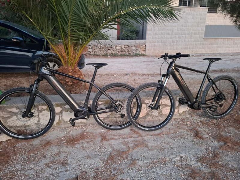 Rogoznica: Self-Guided E-Bike Tour with Wine Tasting - Savoring Dalmatian Flavors: Wine and Olive Oil Tastings