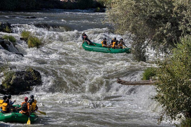 Rogue River Half Day Whitewater Trip Nugget Falls - An In-Depth Look at Your Rogue River Rafting Adventure