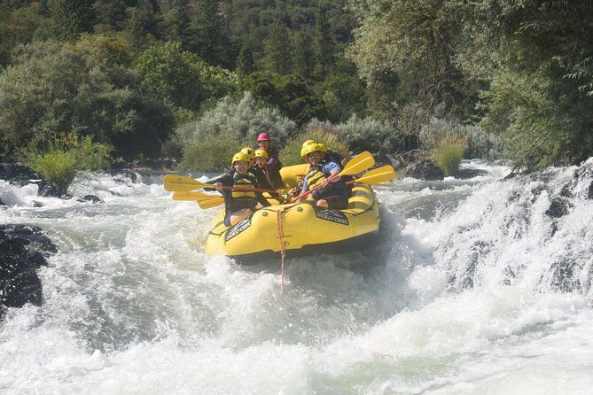 Rogue Valley Rapid Run - In-Depth Review of Rogue Valley Rapid Run