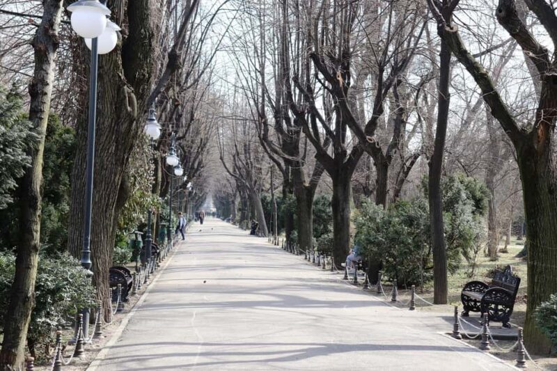 Roma Culture, Realities and Slavery History, Walking tour - Evaluating the Value: Is It Worth It?