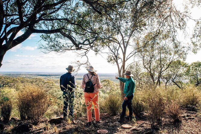 Roma: Landscape and Legacy Day Tour Including Lunch - Exploring the Heart of Queensland: Romas Landscape and Legacy Day Tour