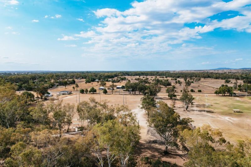 Roma: The Big Rig Oil Patch and Tower & Tree Walk - A Detailed Look at the Experience