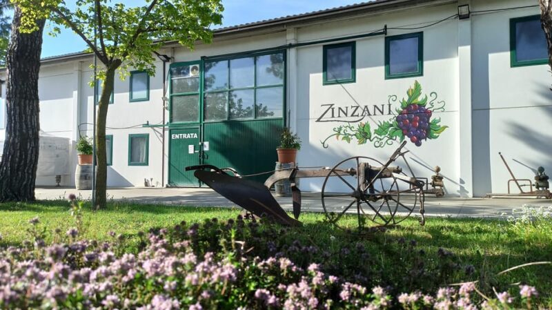 Romagna: Wine Tour with The Winemaker - Exploring the Heart of Emilia-Romagna’s Wine Country
