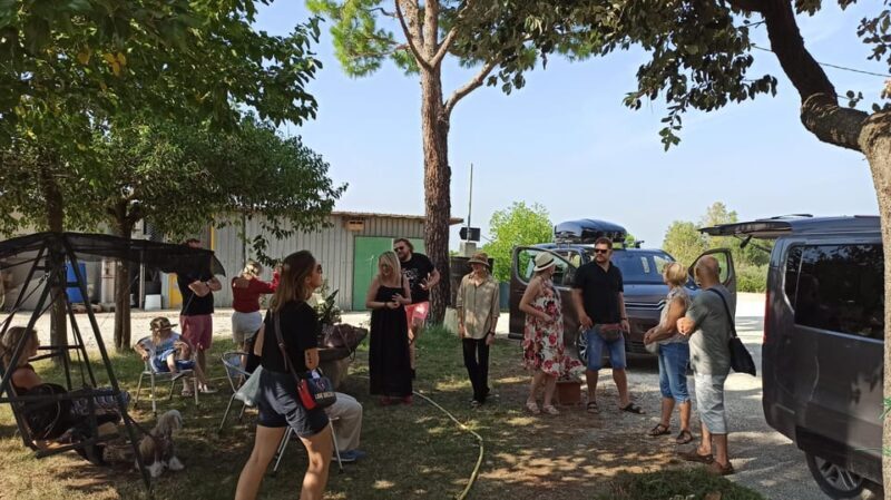 Romagna: Wine Tour with The Winemaker - Inside the Cellar: From Fermentation to Bottling