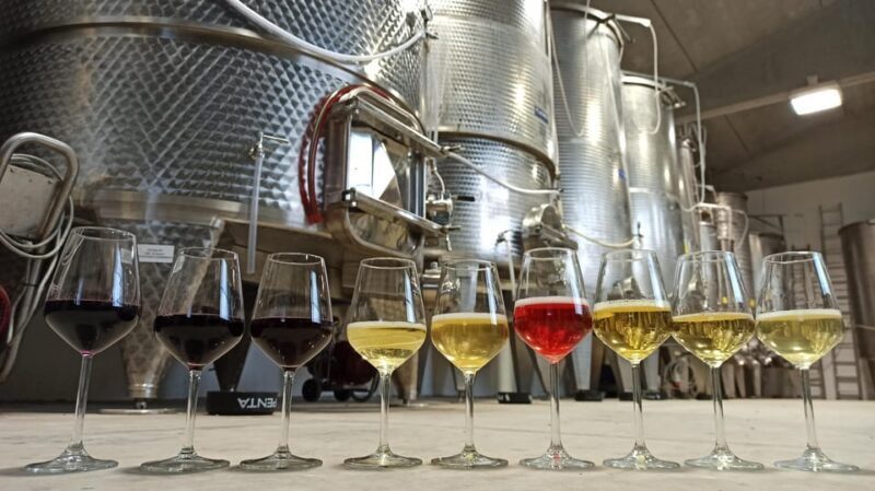 Romagna: Wine Tour with The Winemaker - Practical Details and Tips